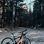 Widok *