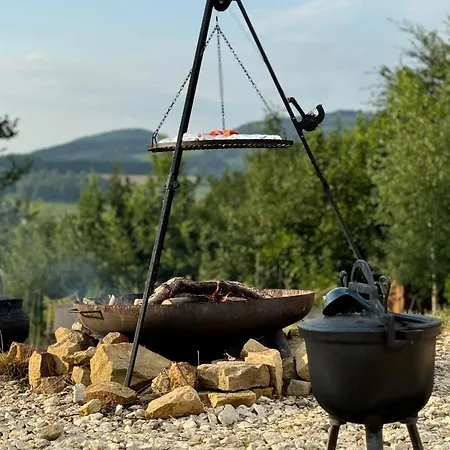 Widok Palesnica
