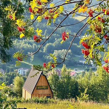 Villa Widok Palesnica