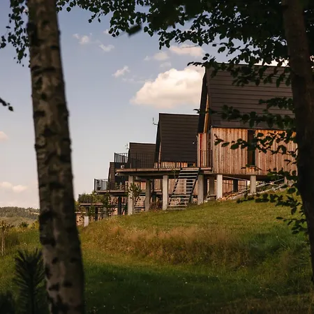 Widok